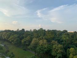 adora-green photo thumbnail #12